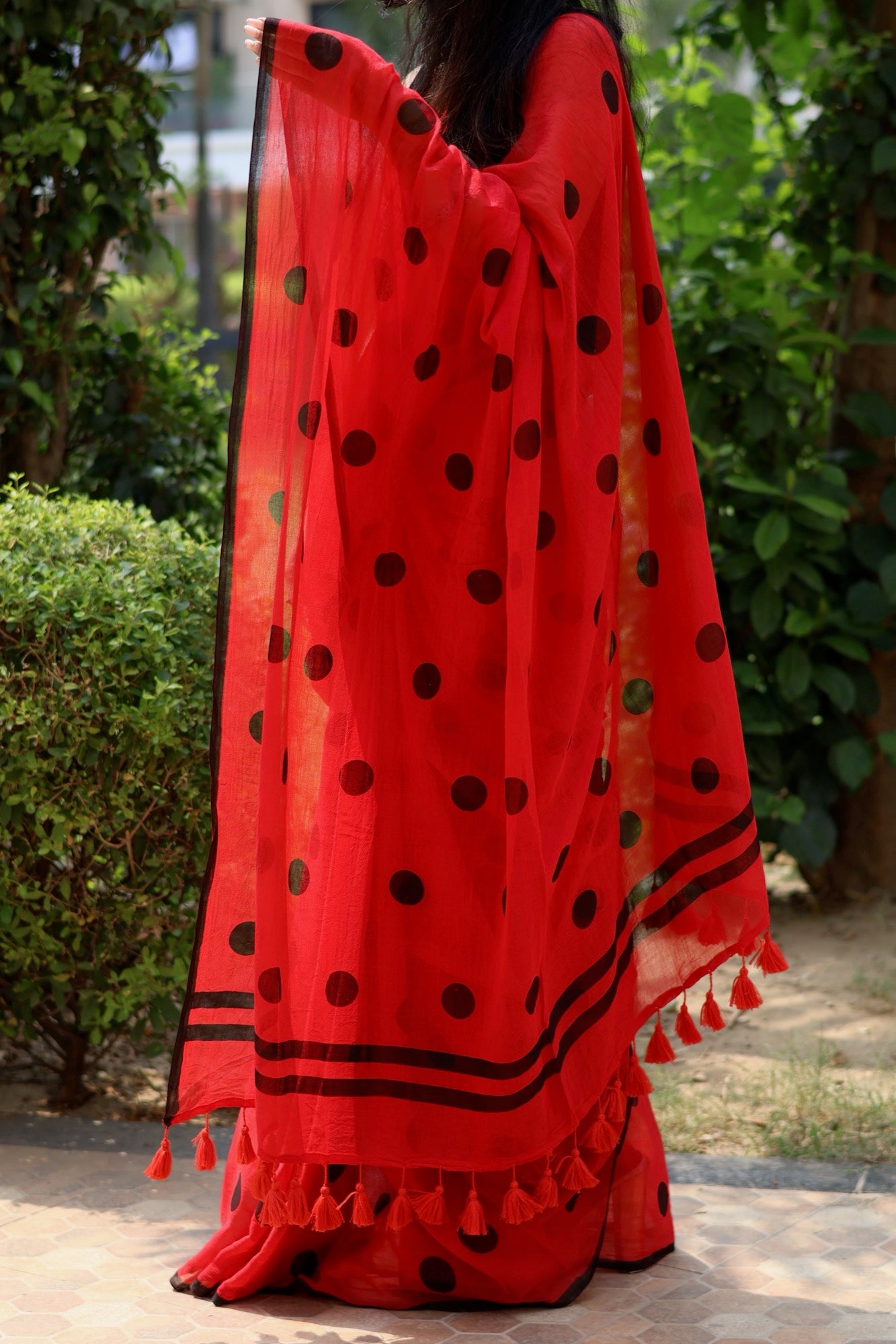 Polka - Lady Bird