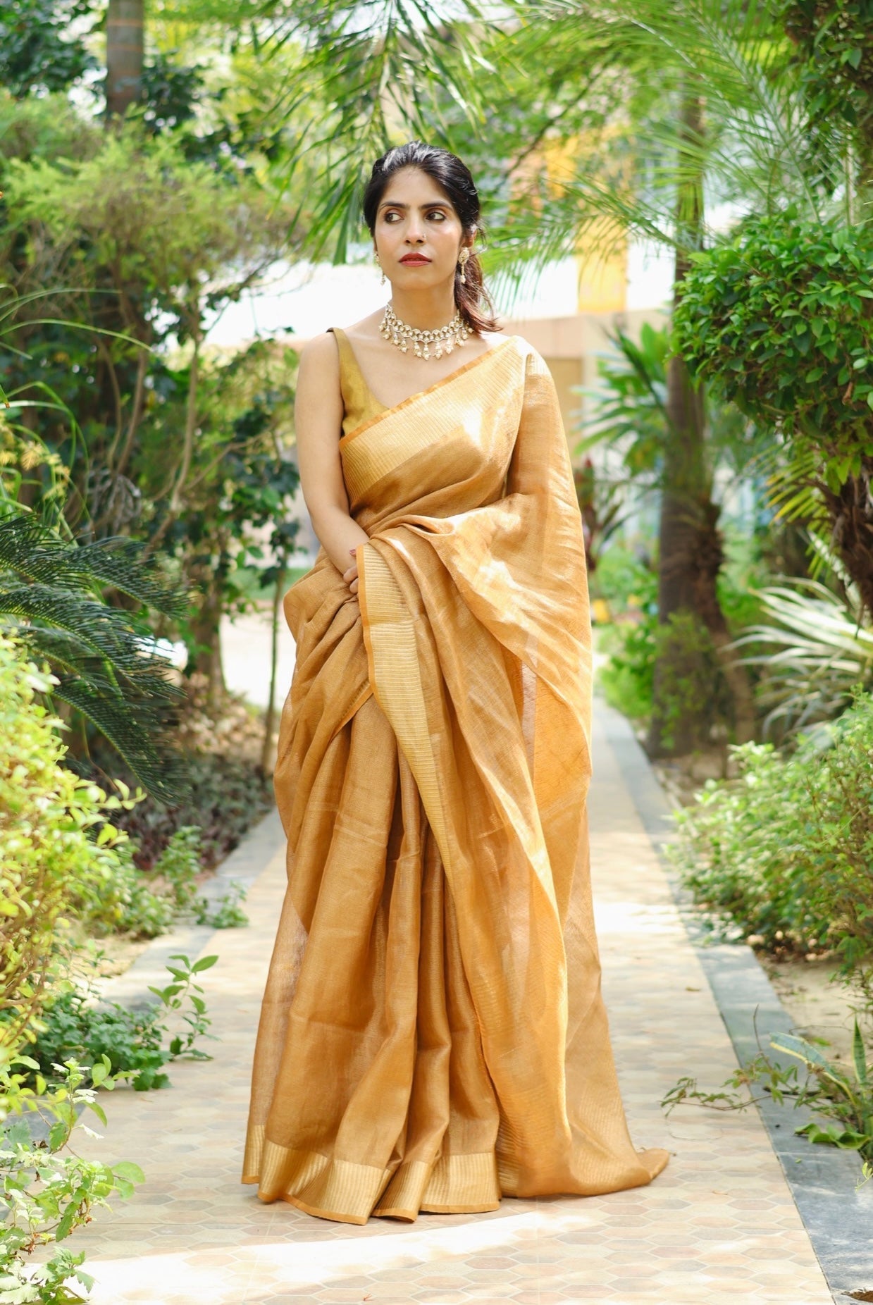 Festive Sarees