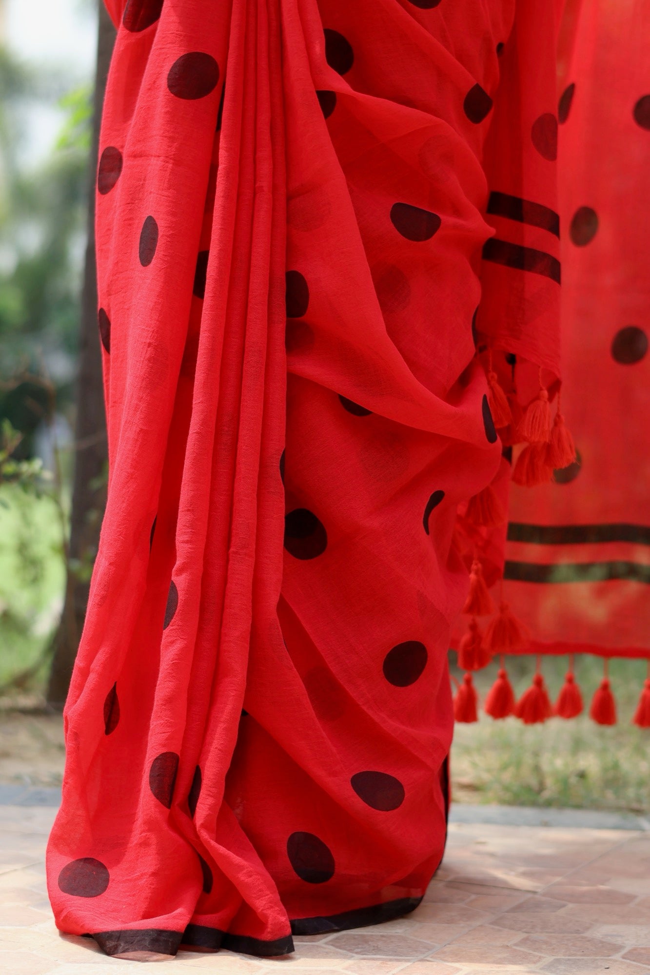 Polka - Lady Bird